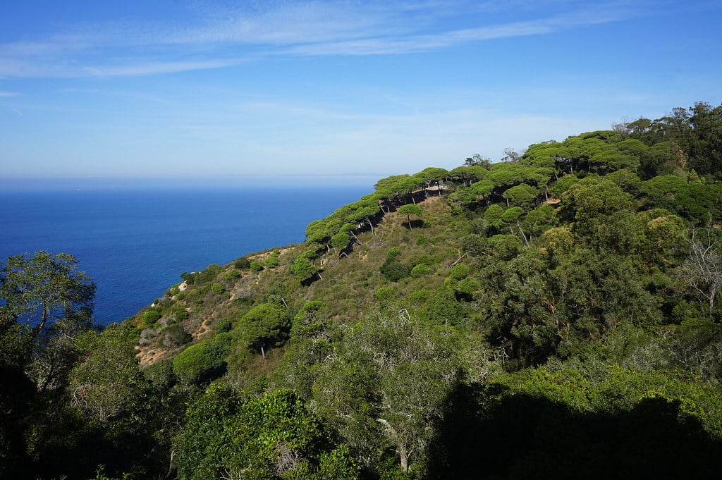 Vue depuis la Villa Perdicaris à Tanger sur son parc, la végétation de la "Montagne" et la mer.