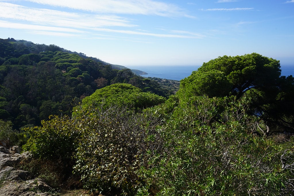 Vue depuis la Villa Perdicaris à Tanger sur son parc, la végétation de la "Montagne" et la mer.