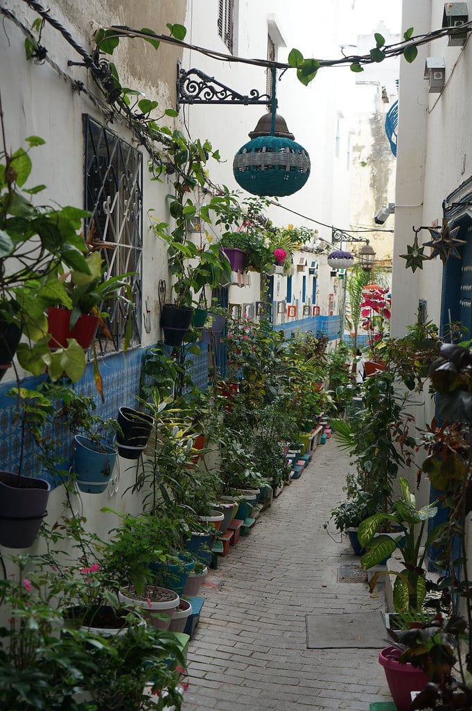 Rue des plantes dans la Casbah de Tanger.