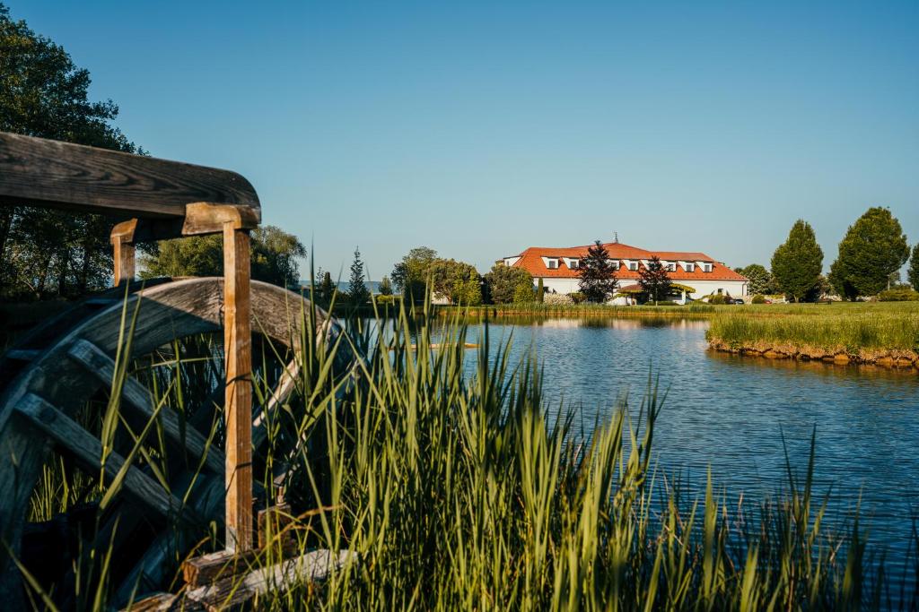 Etang devant l'hotel Pracharna Park Hotel Olomouc.