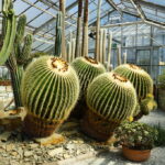 Jardin botanique et les serres de collection d&rsquo;Olomouc : Superbes !