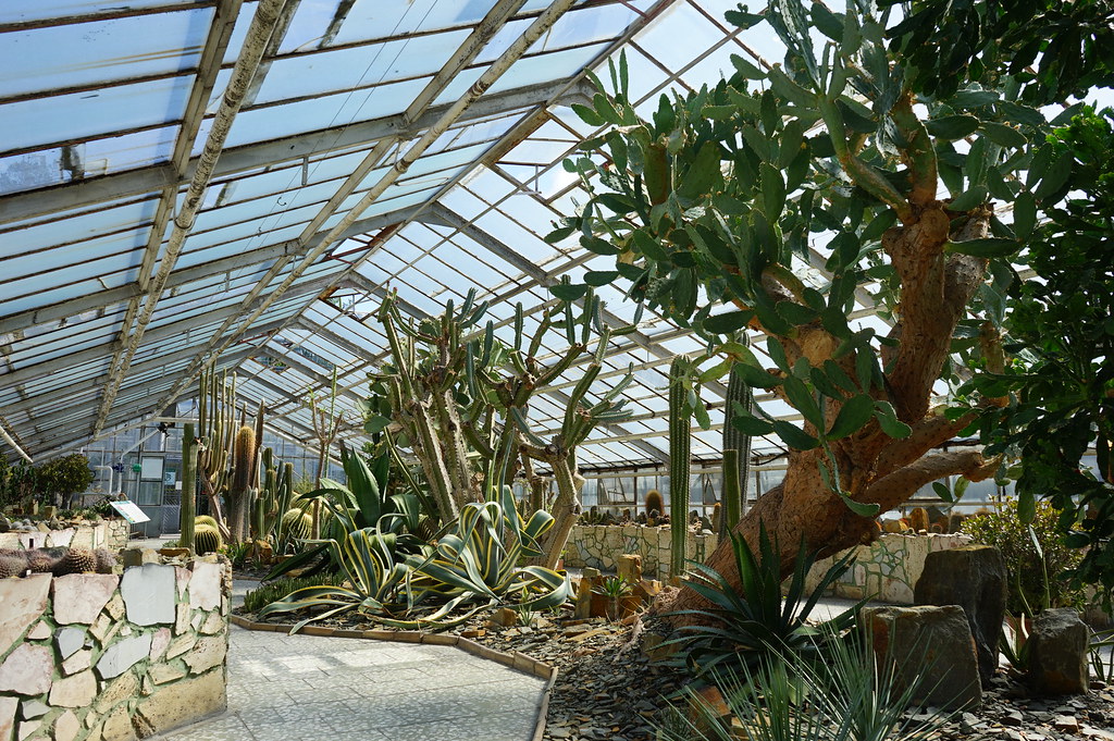 Dans la serre désertique de la Sbírkové skleníky Výstaviště Flora (Collection de plantes sous serres) à Olomouc.