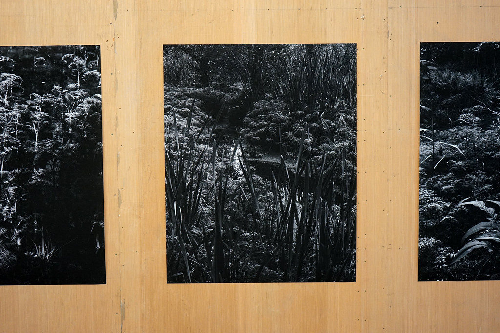 Imprimé de négatifs de Yana Kononova lors d'une exposition au PLATO à Ostrava.