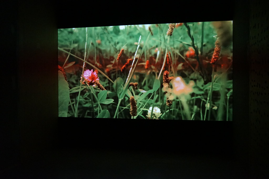 Extrait video d'une expo au centre d'art contemporain PLATO à Ostrava.
