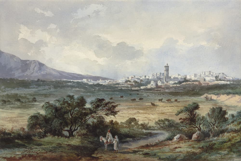 Vue sur Tetouan par Eduardo Florez Ibanez visible au Musée Carmen Thyssen Malaga