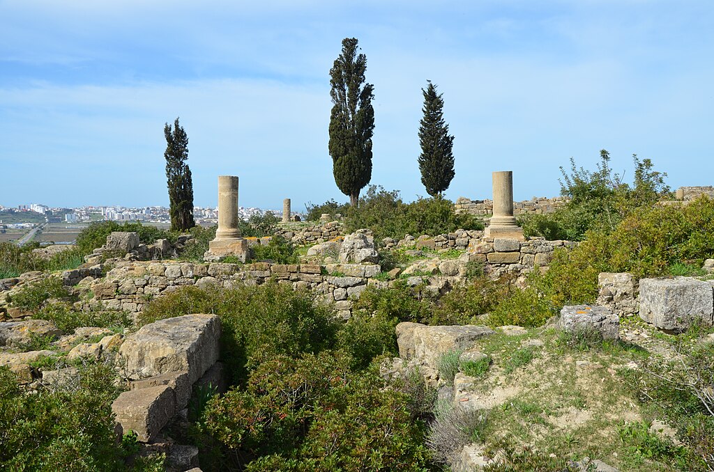 Site antique de Lixus  près de Larache. Photo de Carole-Raddato - Licence ccbysa 2.0 