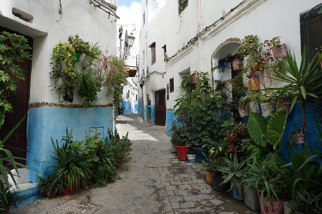 Ruelle aux plantes dans la médina de Tétouan.