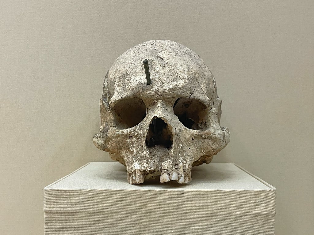 Crâne percé d'une flêche au Musée d'archéologie de Tétouan.