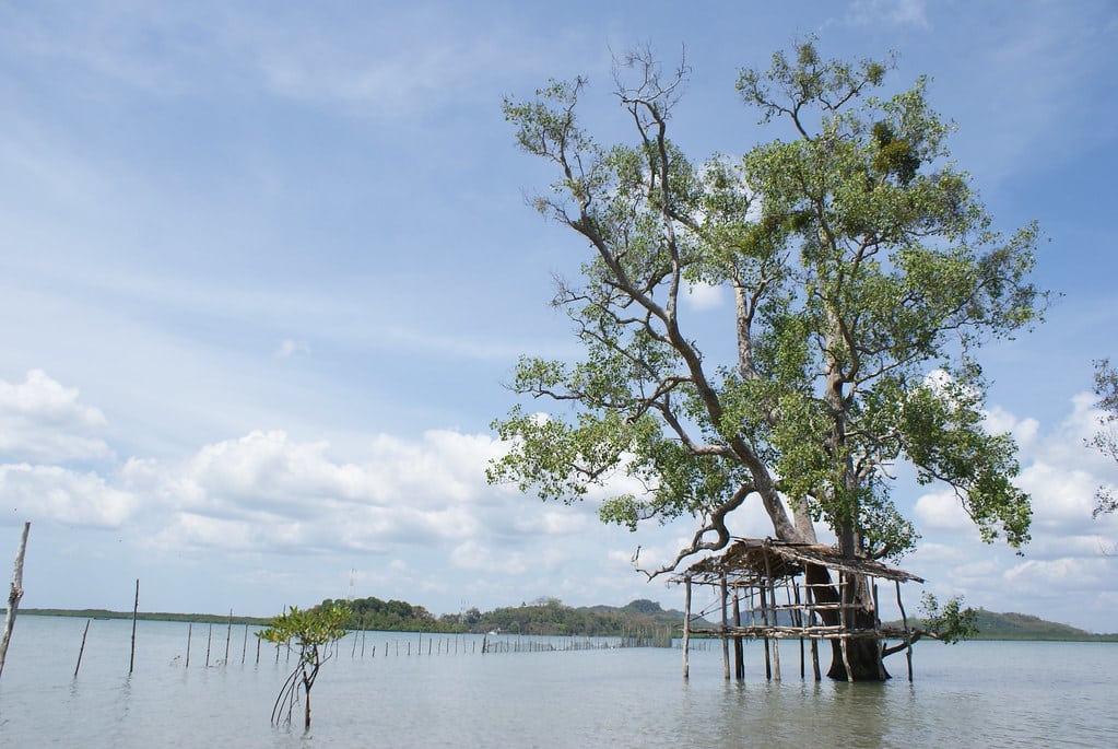 Coin de pêcheurs dans les mangroves sur l’île sans touriste de Koh Lanta Noi.