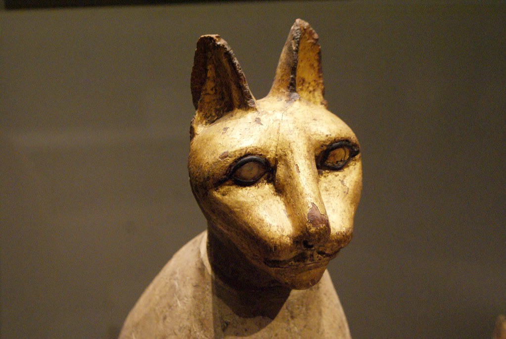 Sculpture de chat dans le musée Egyptien du centre historique de Turin