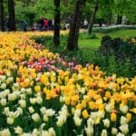 Turin en 2026 : Agenda culturel, calendrier des festivals et évènements