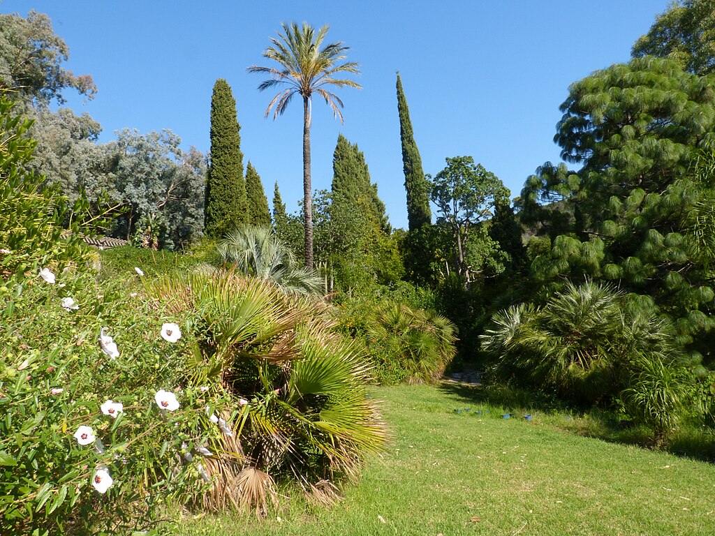 Dans le jardin d'Amérique Subtropicale du Domaine du Rayol dans le Var. Licence ccbysa 4.0