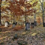 Cimetière Juif de Brodno à Varsovie : Cimetières des pauvres  [Praga]