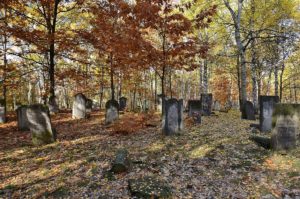 Cimetière Juif de Brodno à Varsovie : Cimetières des pauvres  [Praga]