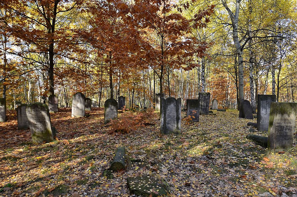 Cimetière juif de Brodno à Varsovie à l'automne.