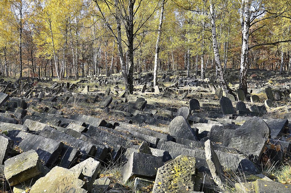 Tombes renversées du Cimetière juif de Brodno à Varsovie. Photo d'Adrian Grycuk