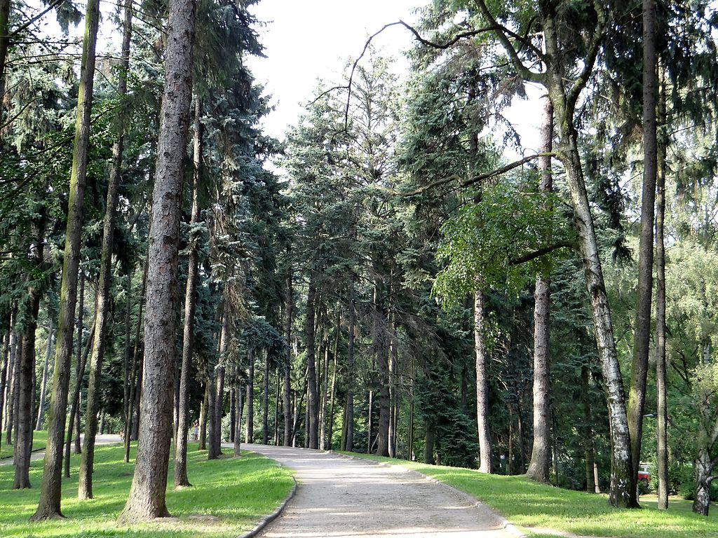 Allée boisée du parc Skaryszewski dans le quartier de Praga à Varsovie. Photo de Jolanta Dyr