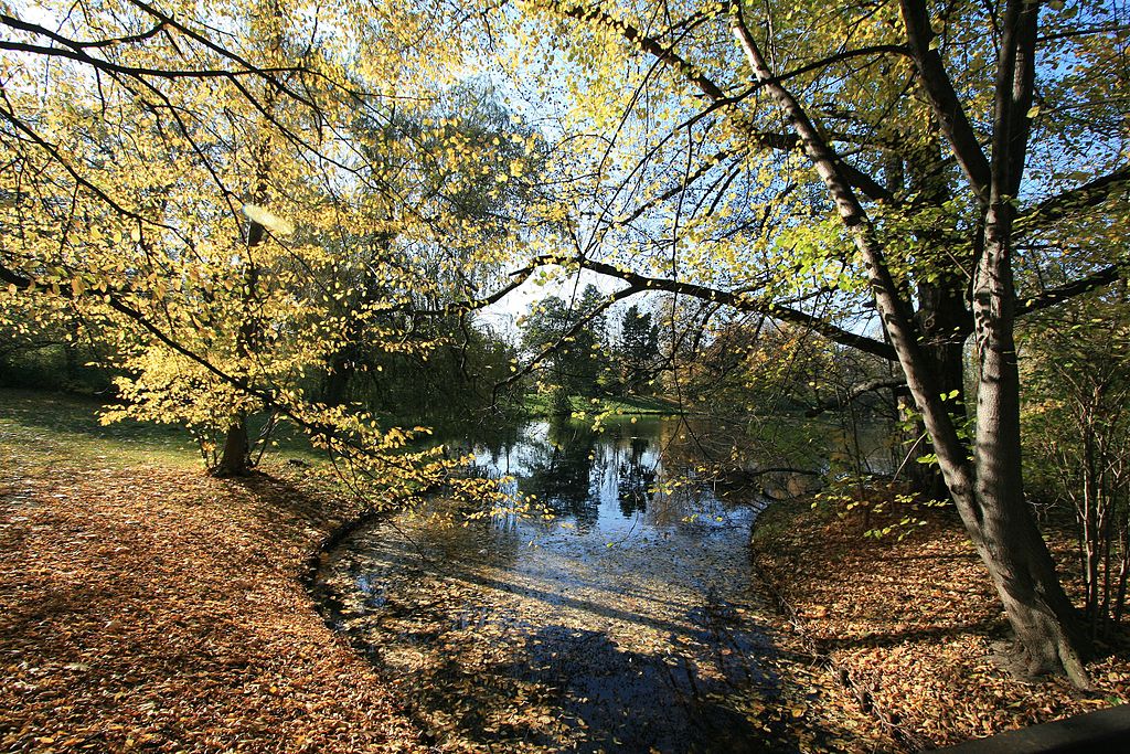 Dans le parc Skaryszewski à la limite entre les quartiers de Saska Kepa et de Praga à Varsovie - Photo de Michal Gorski