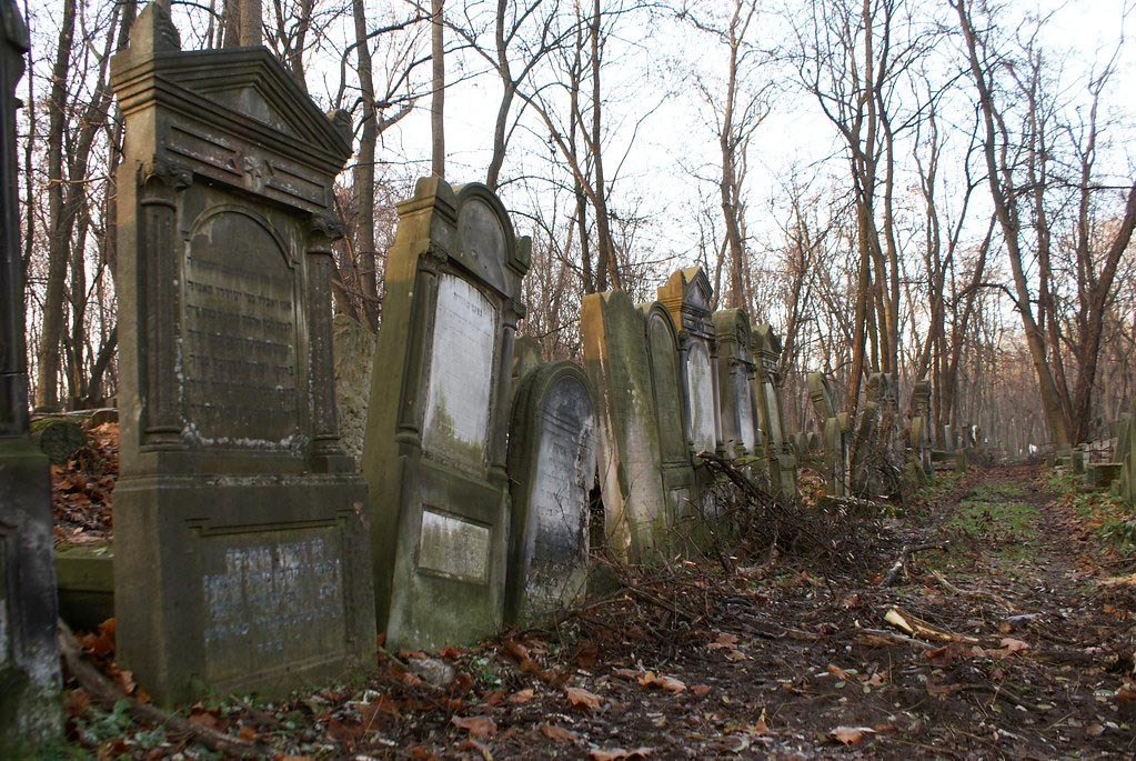 Dans le cimetière juif de Varsovie na Okopowej.