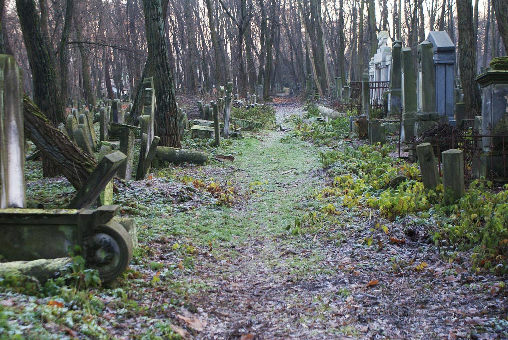 Dans le cimetière juif de Varsovie.