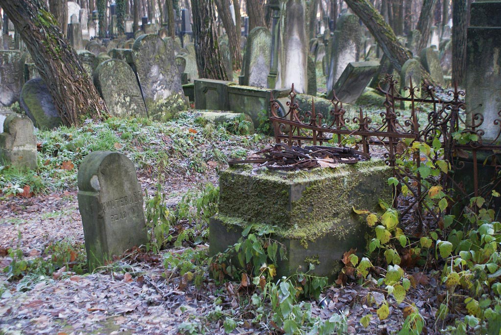 Dans le cimetière juif de Varsovie na Okopowej.