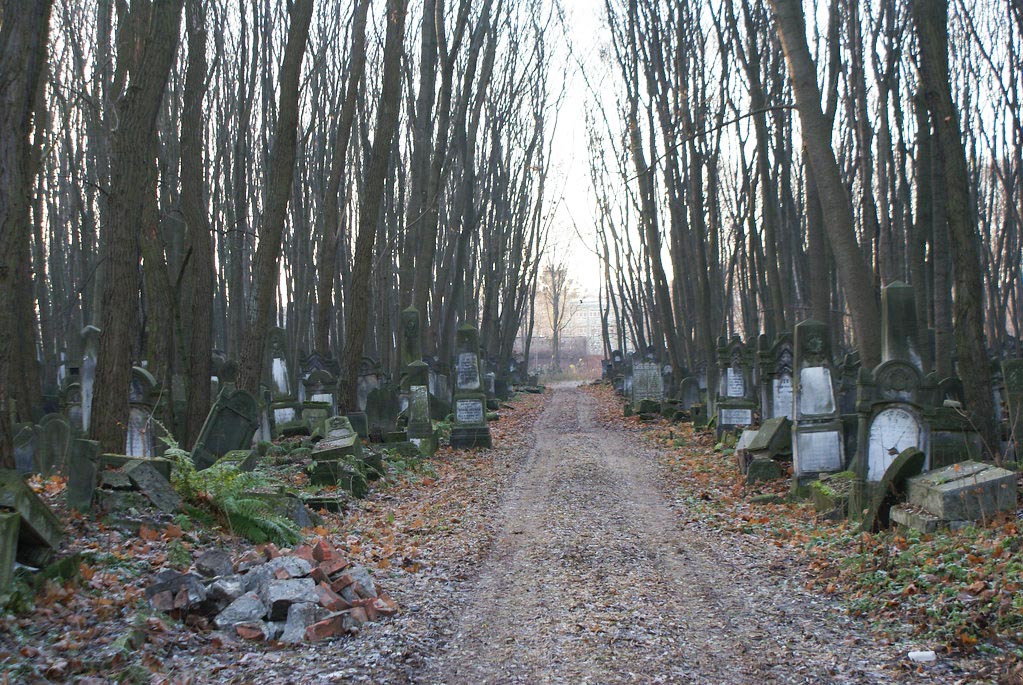 Dans le cimetière juif de Varsovie.