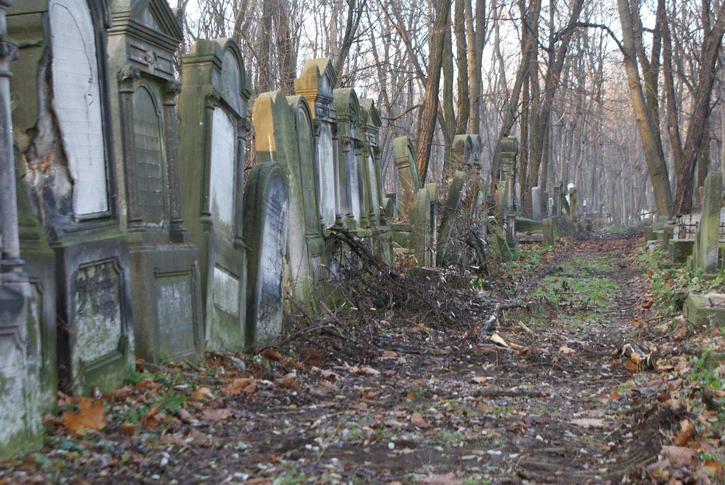 Dans le cimetière juif de Varsovie na Okopowej