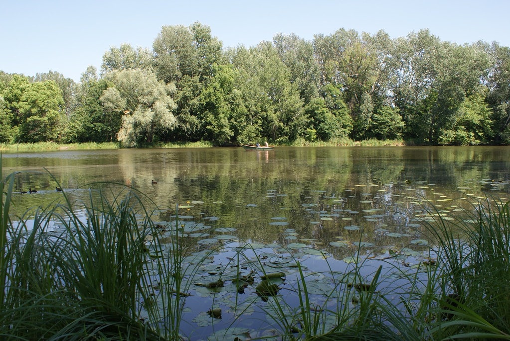 Lieu de canotage de tout repos.