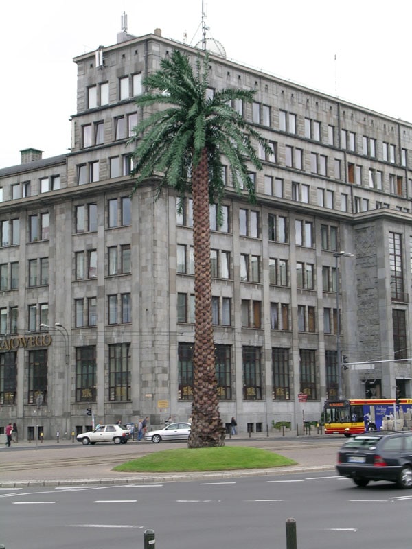 Palme de Joanna Rajkowska à Varsovie en 2005 - Photo de Pjm