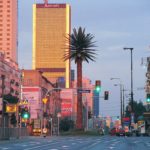 Palmier géant à Varsovie : Hommage insolite aux Juifs polonais [Centre-Nord]