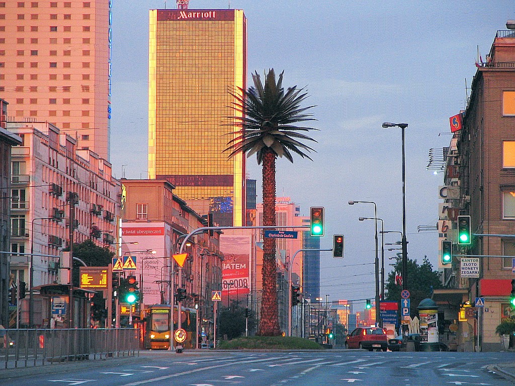 Palme de Varsovie sur les allées de Jérusalem - Photo de Tadeusz Dąbrowski