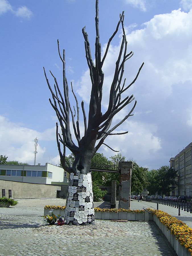 Arbre du musée de la prison Pawiak à Varsovie.