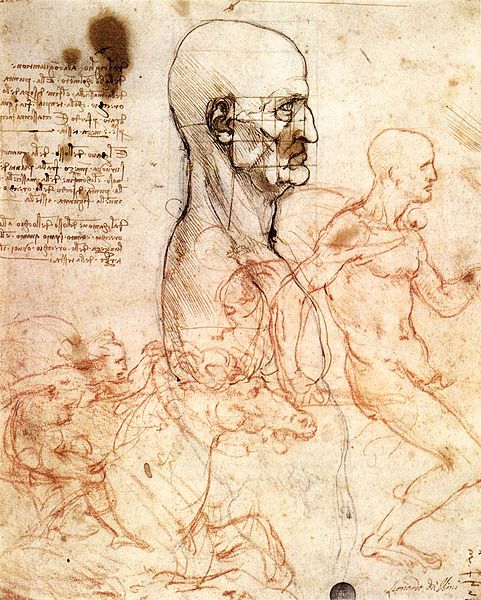Dessin de Leonardo da Vinci au musée de la Gallerie dell'accademia à Venise
