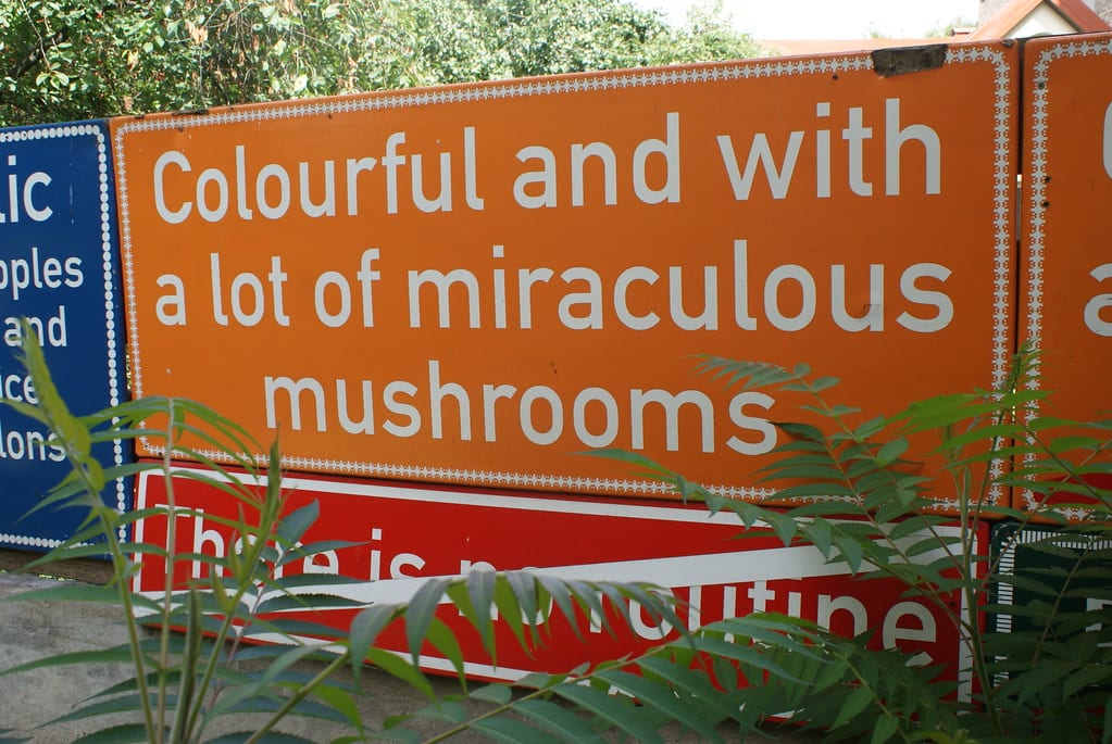 Humour de la République d’Uzupis à Vilnius.