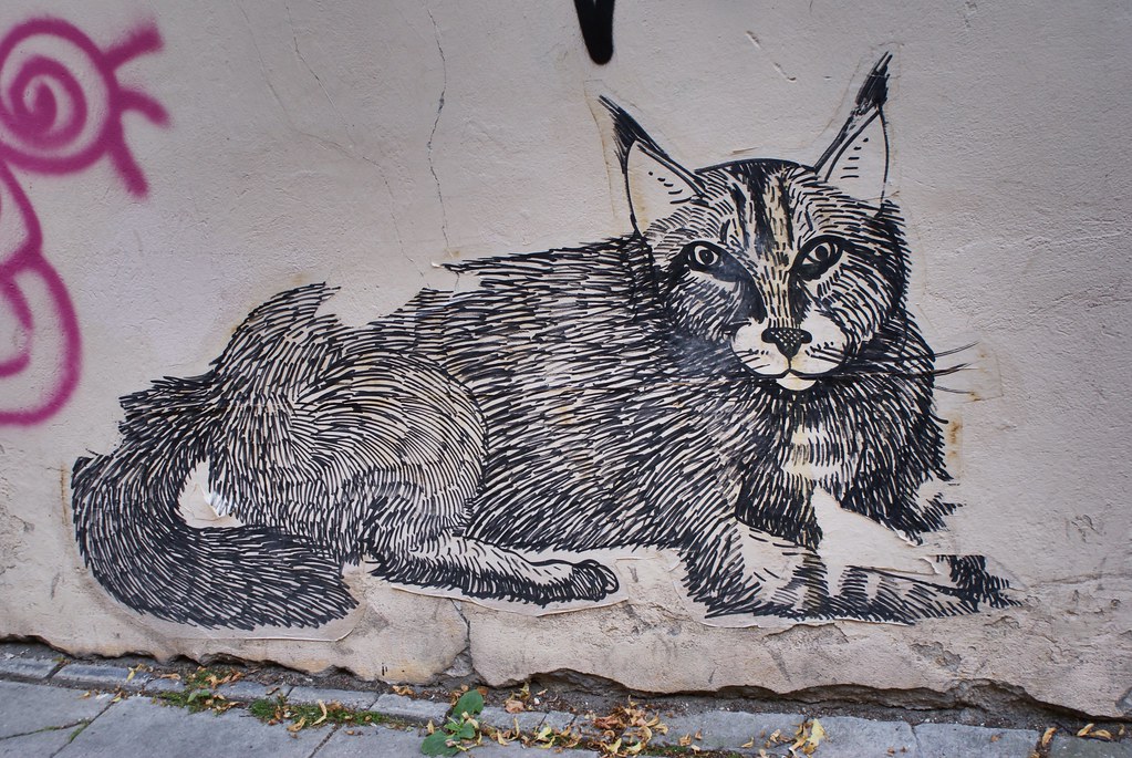 Street art Chat-lynx à Vilnius.