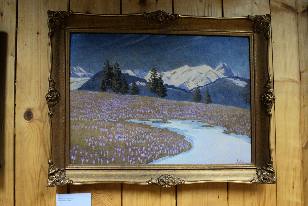 Paysage de crocus en fleurs.